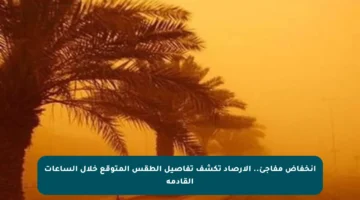 انخفاض مفاجئ.. الأرصاد تكشف تفاصيل الطقس المتوقع خلال الساعات القادمة